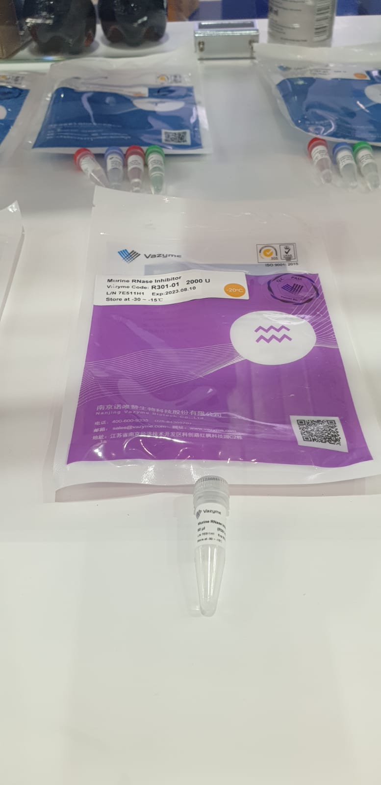Murine RNase Inhibitor